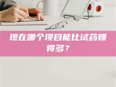 蚌埠现在哪个项目能比试药赚得多？