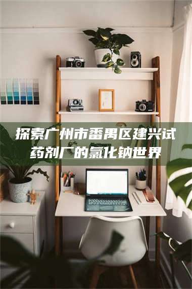 蚌埠探索广州市番禺区建兴试药剂厂的氯化钠世界 第1张