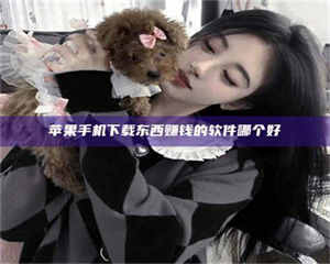 蚌埠苹果手机下载东西赚钱的软件哪个好 第1张