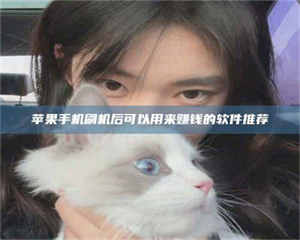 蚌埠苹果手机刷机后可以用来赚钱的软件推荐 第1张